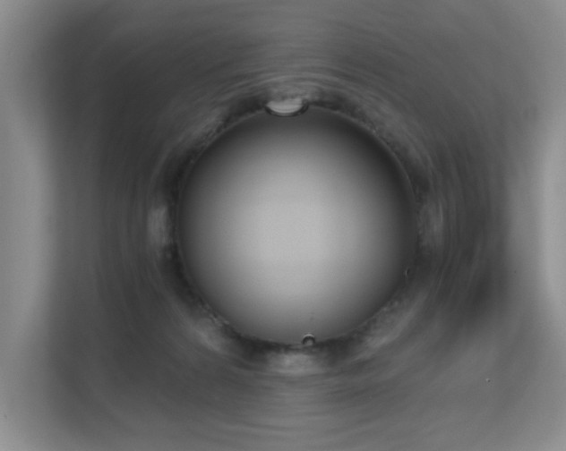 X0000111620224200907171250