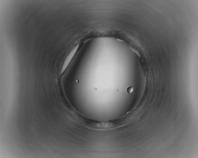X0000111620225200907171250