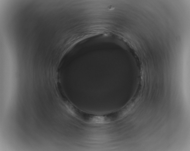 X0000111620227200907171250