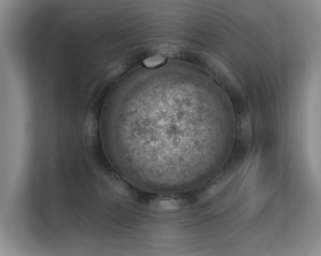 X0000111620228200907171250