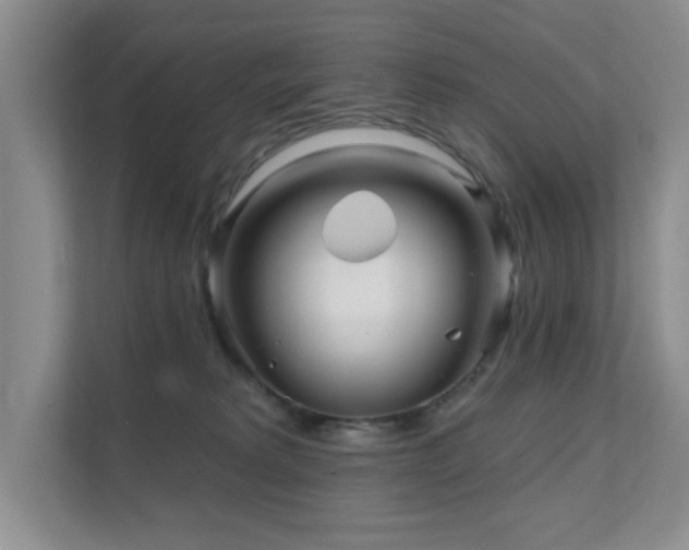 X0000111620229200907171250