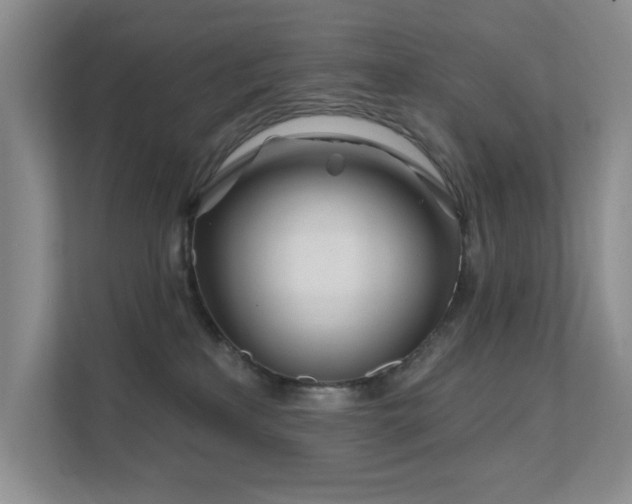 X0000111620233200907171250