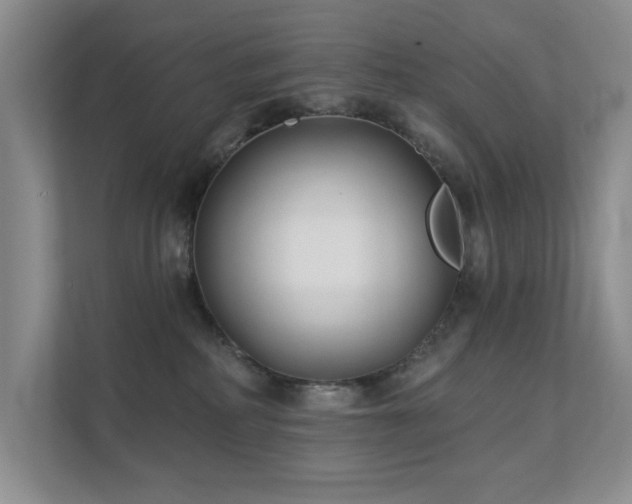 X0000111620234200907171250