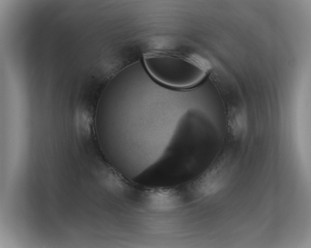 X0000111620235200907171250
