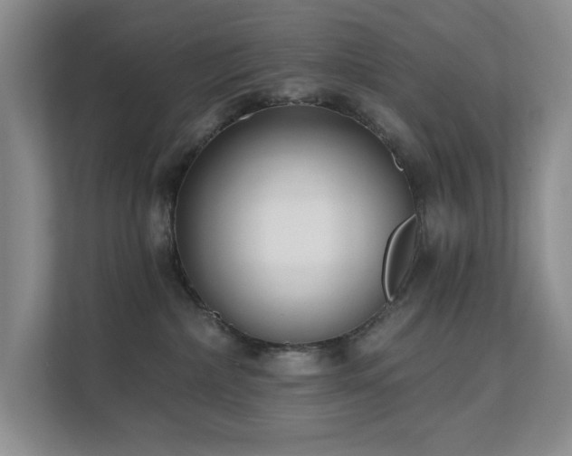 X0000111620236200907171250