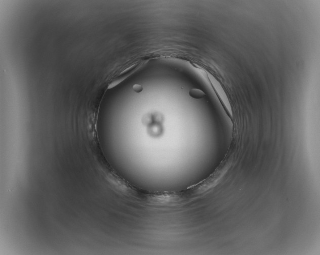 X0000111620237200907171250