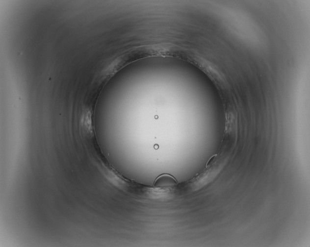 X0000111620238200907171250