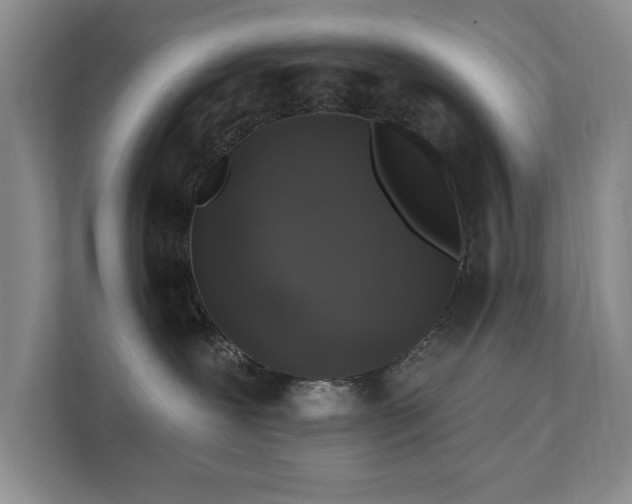 X0000111620239200907171250