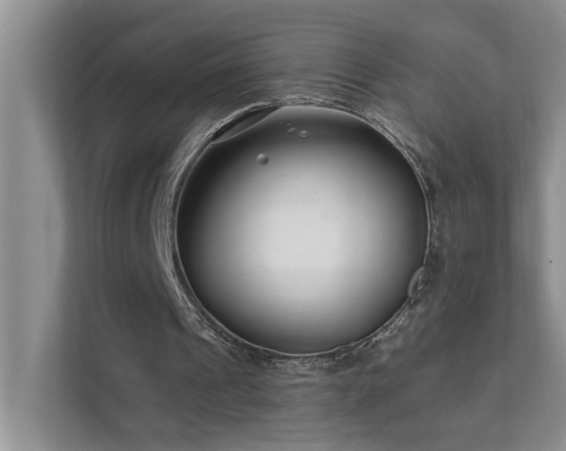 X0000111620241200907171249