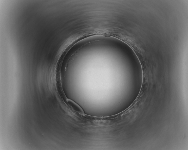 X0000111620242200907171249
