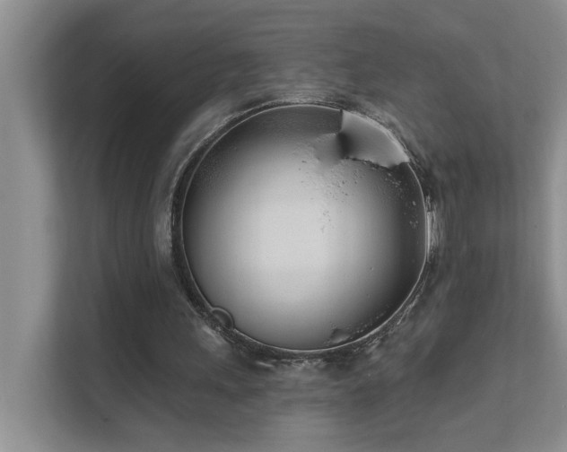 X0000111620243200907171250