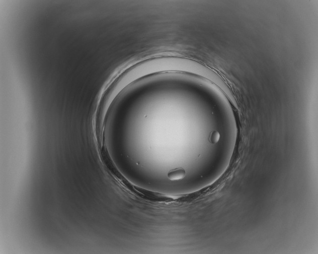 X0000111620244200907171250