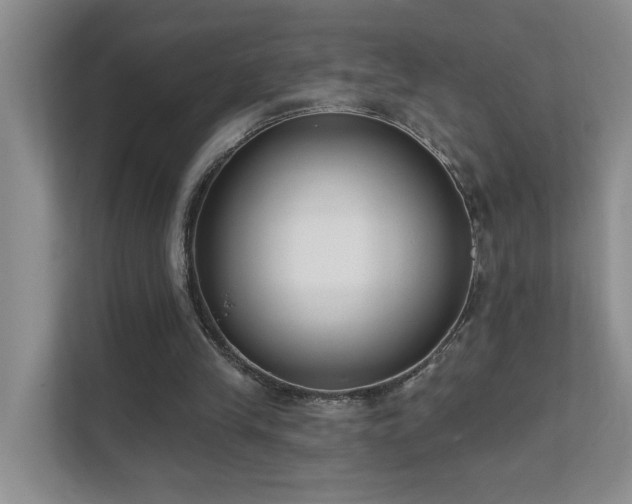 X0000111620245200907171250
