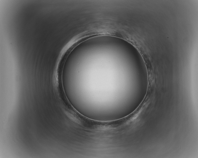 X0000111620246200907171250