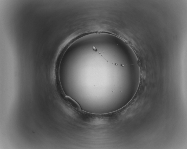 X0000111620248200907171250
