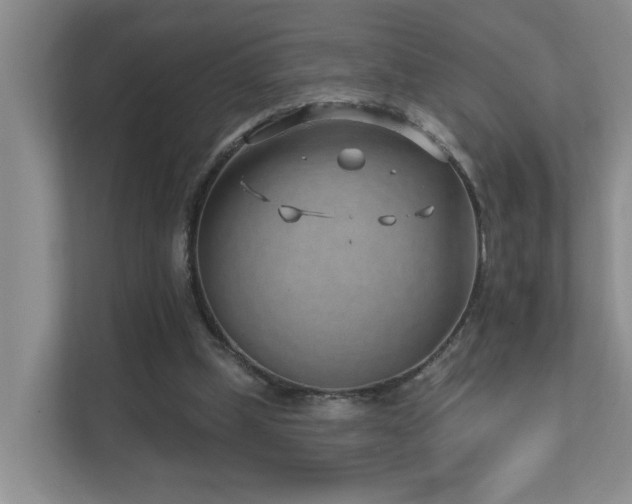 X0000111620249200907171250