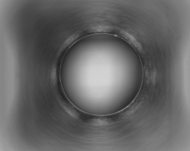 X0000111620250200907171250