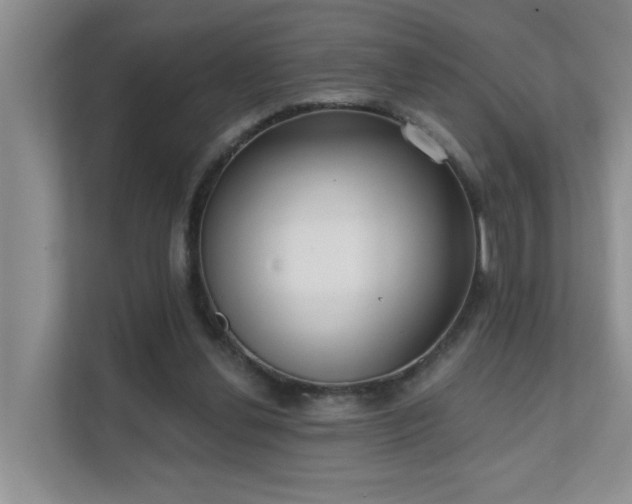 X0000111620252200907171250
