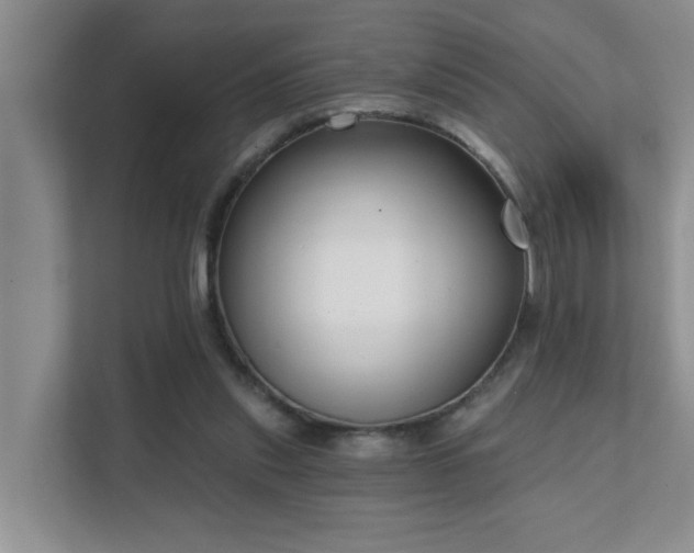 X0000111620253200907171250
