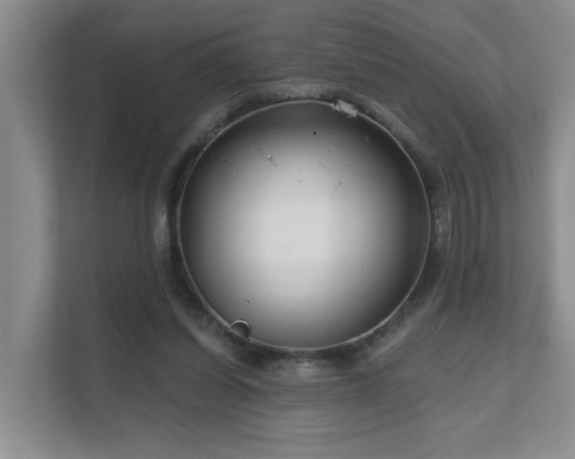 X0000111620254200907171250