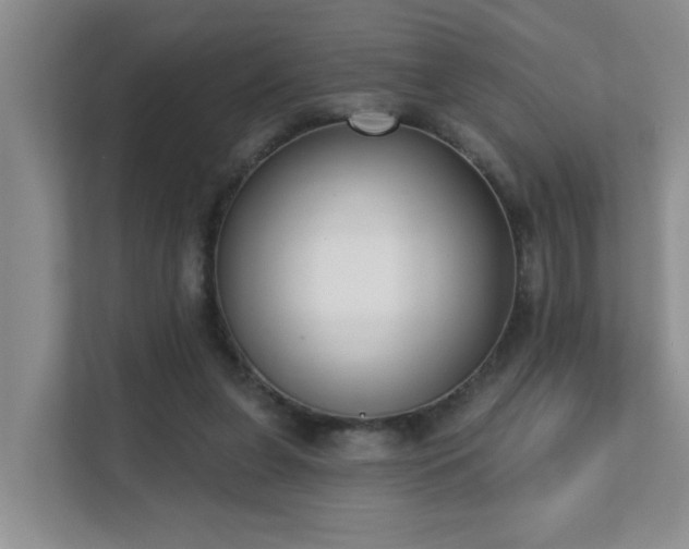 X0000111620255200907171250
