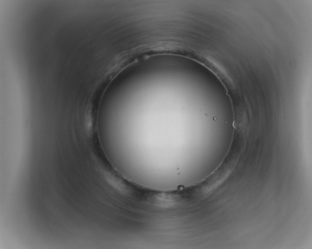 X0000111620261200907171250