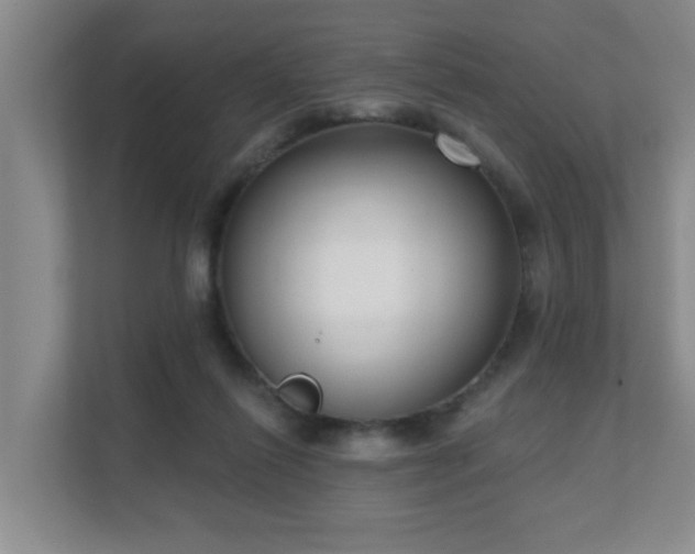 X0000111620262200907171250