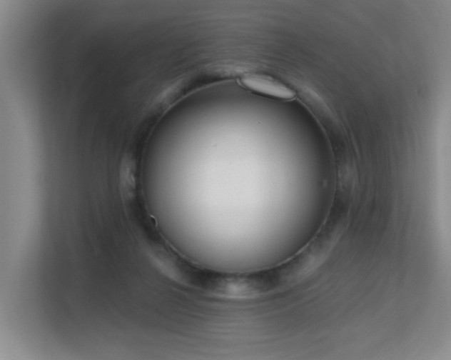 X0000111620264200907171250
