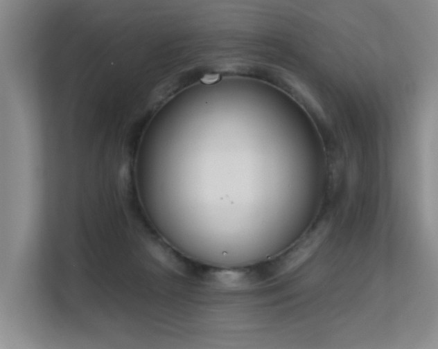 X0000111620265200907171250