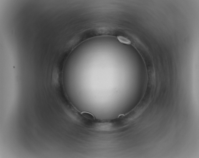 X0000111620266200907171250