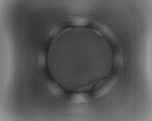 X0000111620268200907171250