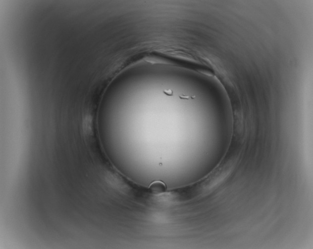 X0000111620269200907171250