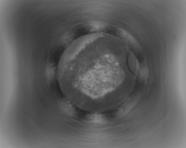 X0000111620276200907171250