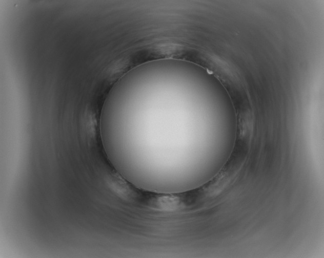 X0000111620279200907171250