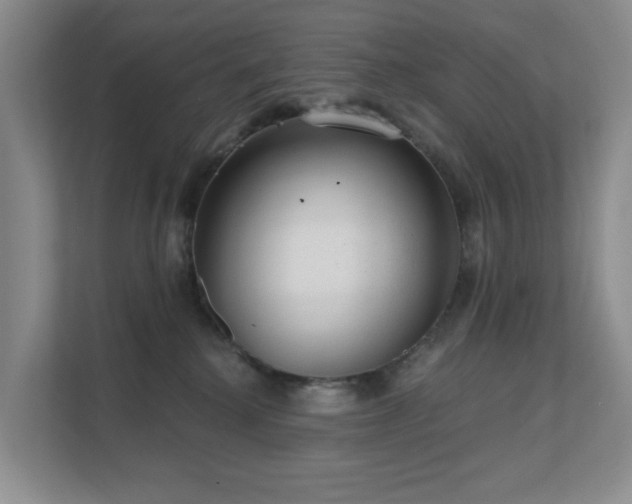 X0000111620280200907171250