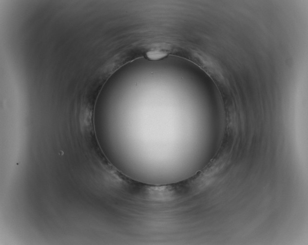 X0000111620281200907171250