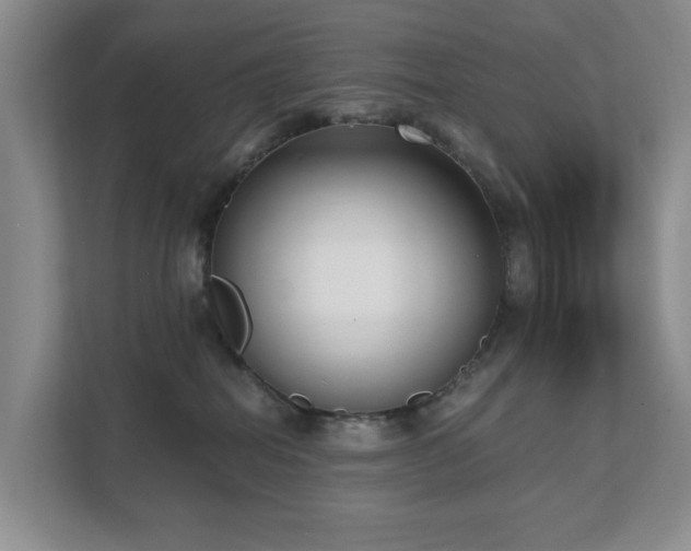 X0000111620282200907171250