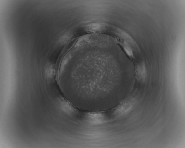 X0000111620284200907171250