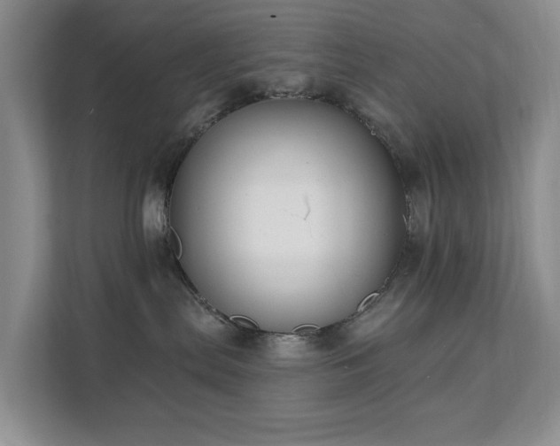 X0000111620287200907171250