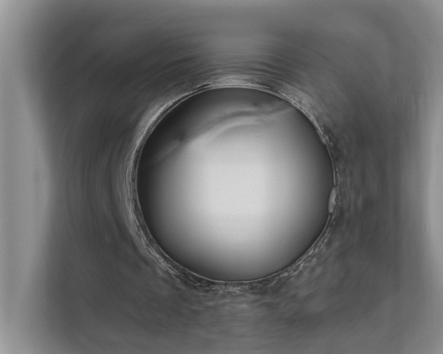 X0000111620289200907171249