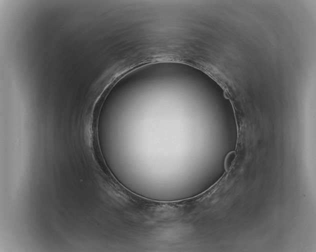 X0000111620290200907171249