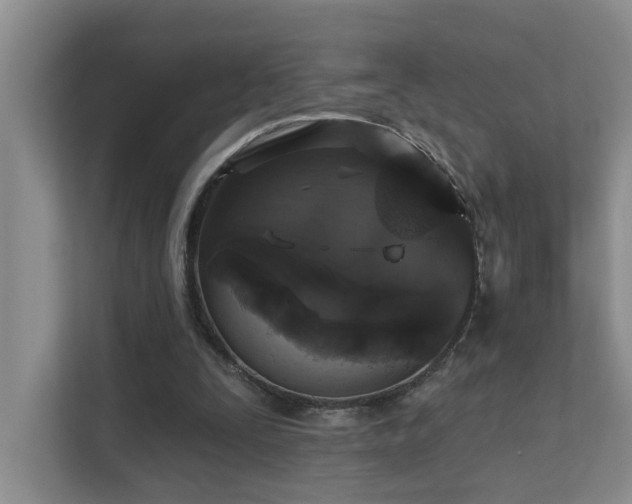 X0000111620295200907171249