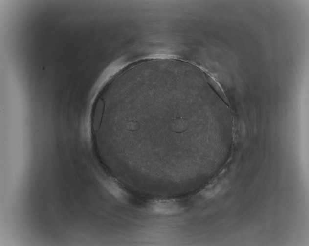 X0000111620296200907171249