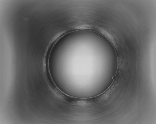 X0000111620298200907171249
