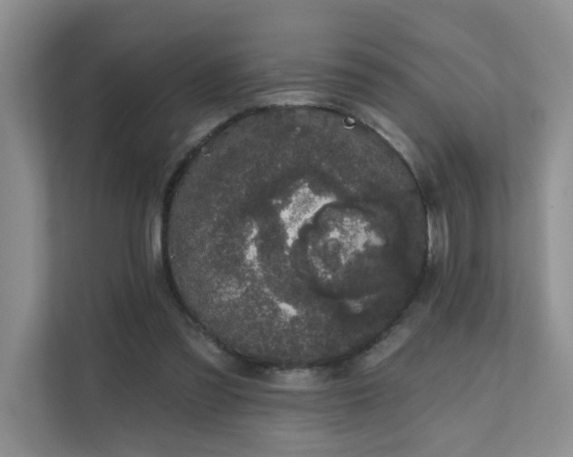X0000111620301200907171249