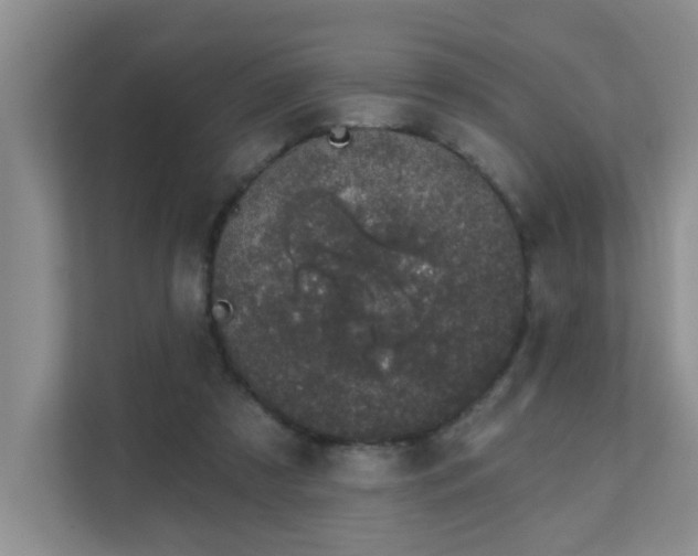 X0000111620305200907171249