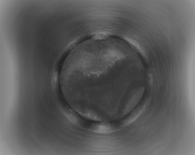 X0000111620308200907171249