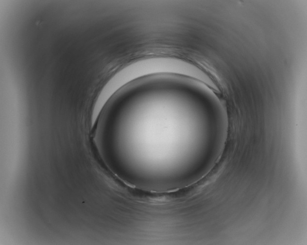 X0000111620309200907171249
