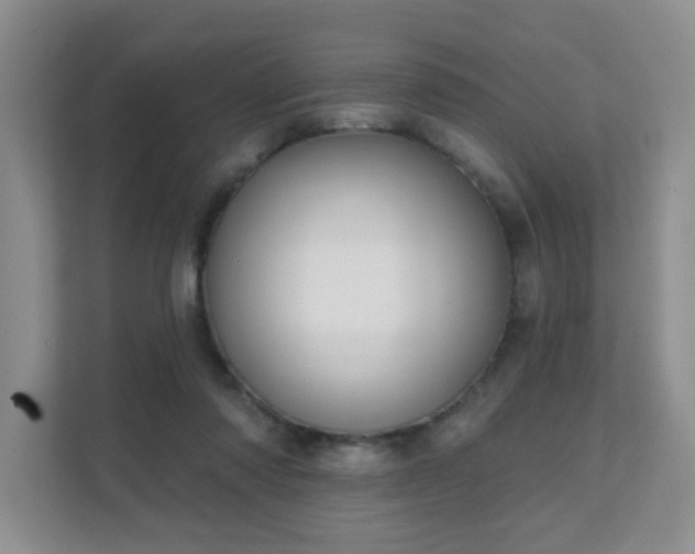 X0000111620310200907171249