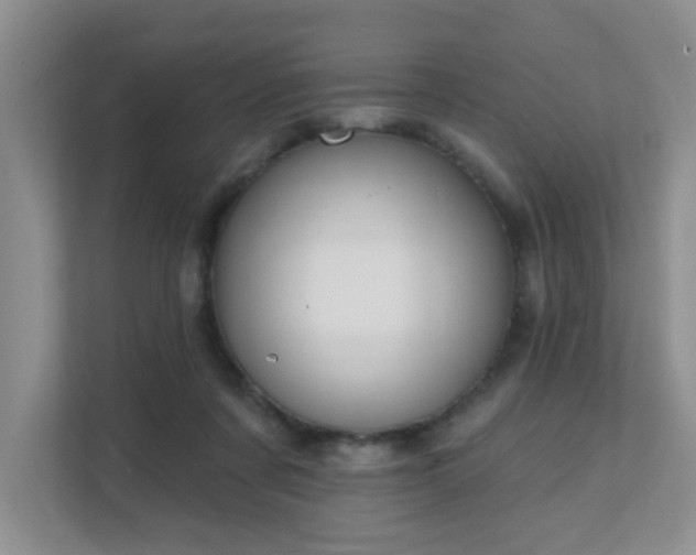 X0000111620311200907171249